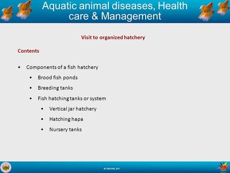 Aquatic animal diseases, Health care & Management © TANUVAS, 2011 Visit to organized hatchery Contents Components of a fish hatchery Brood fish ponds Breeding.