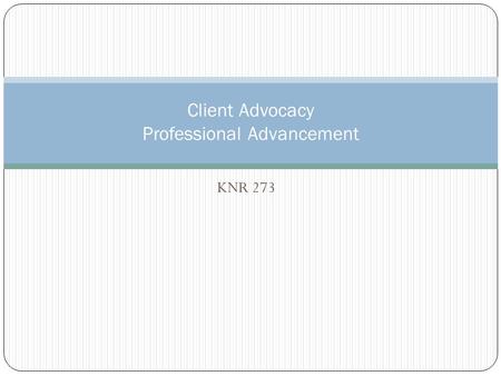 KNR 273 Client Advocacy Professional Advancement.