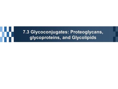 7.3 Glycoconjugates: Proteoglycans, glycoproteins, and Glycolipids