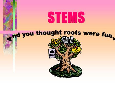 STEMS Purpose of Stems Support leaves Transport water and nutrients Store water and food.