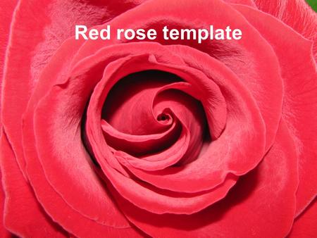 Red rose template Example bullet point slide Bullet point –Sub Bullet.