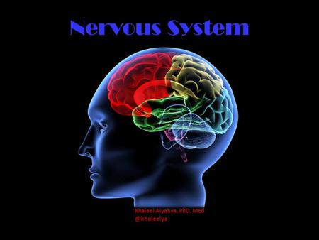 Nervous System Khaleel Alyahya, PhD, MEd @khaleelya.