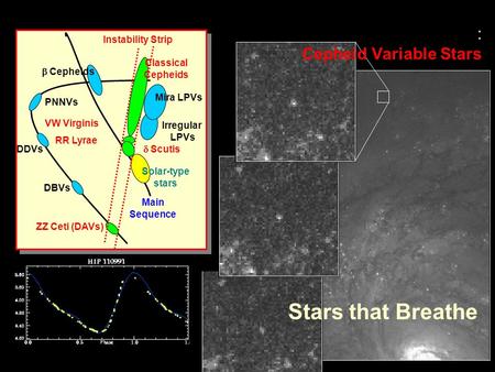 Main Sequence Solar-type stars Mira LPVs  Cepheids Irregular LPVs DBVs PNNVs Instability Strip Classical Cepheids RR Lyrae  Scutis VW Virginis ZZ Ceti.