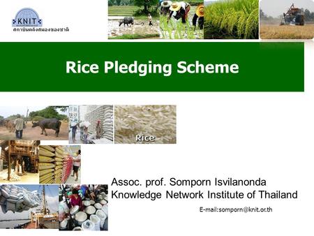 Rice Pledging Scheme สถาบันคลังสมองของชาติ Assoc. prof. Somporn Isvilanonda Knowledge Network Institute of Thailand