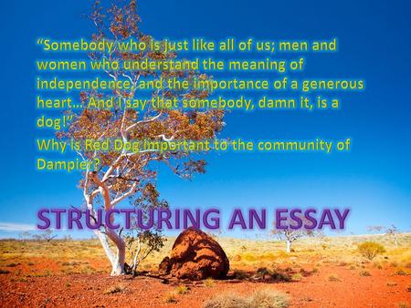 “Somebody who is just like all of us; men and women who understand the meaning of independence, and the importance of a generous heart… And I say that.