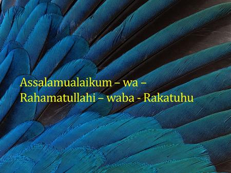 Assalamualaikum – wa – Rahamatullahi – waba - Rakatuhu.