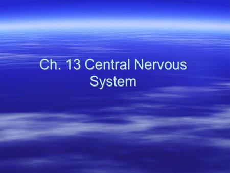 Ch. 13 Central Nervous System