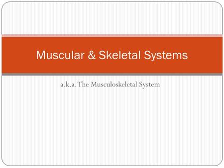 Muscular & Skeletal Systems