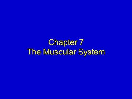 Chapter 7 The Muscular System