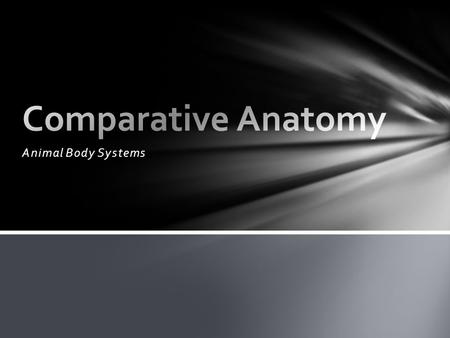 Animal Body Systems. 1.Range from Unicellular to Multicellular 2.Autotrophic and/or heterotrophic 3.Life-sustaining functions (energy production, waste.