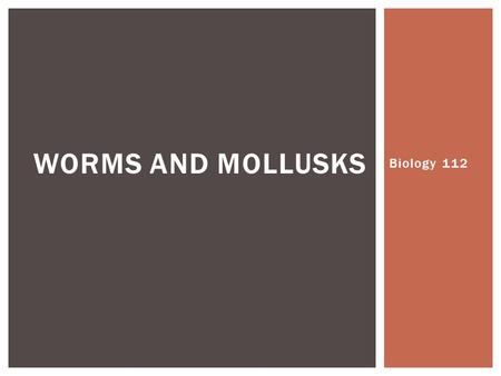 Worms and Mollusks Biology 112.