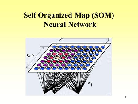 Self Organized Map (SOM)