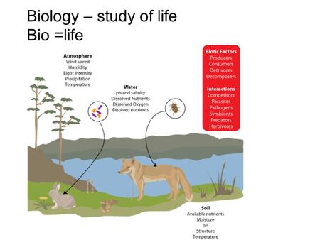 Biology – study of life Bio =life. Make observations and perform studies to better understand the world and make useful predictions about the future.