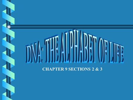 CHAPTER 9 SECTIONS 2 & 3 Stores and passes on genetic information from one generation to another. Sugar: deoxyribose DNA Deoxyribonucleic acid.