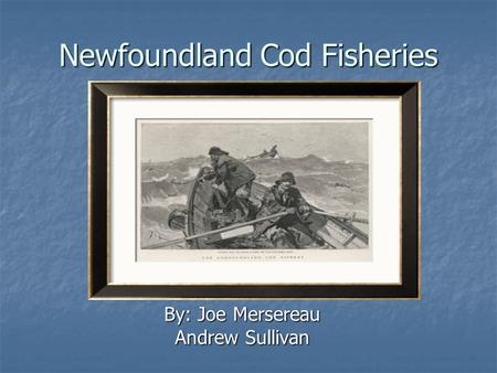 Newfoundland Cod Fisheries By: Joe Mersereau Andrew Sullivan.