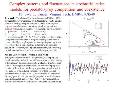 Complex patterns and fluctuations in stochastic lattice models for predator-prey competition and coexistence PI: Uwe C. Täuber, Virginia Tech, DMR-0308548.