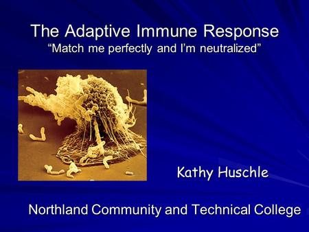 The Adaptive Immune Response “Match me perfectly and I’m neutralized”