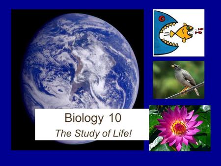 Biology 10 The Study of Life! First, start thinking of questions… What types of animals or plants are the most interesting to you? What would you like.