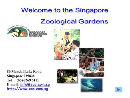 80 Mandai Lake Road Singapore 729826 Tel : (65) 6269 3411