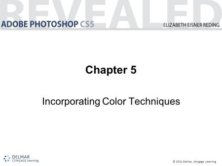 © 2011 Delmar, Cengage Learning Chapter 5 Incorporating Color Techniques.