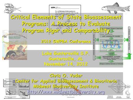 Chris O. Yoder Center for Applied Bioassessment & Biocriteria Midwest Biodiversity Institute  Critical Elements of State.