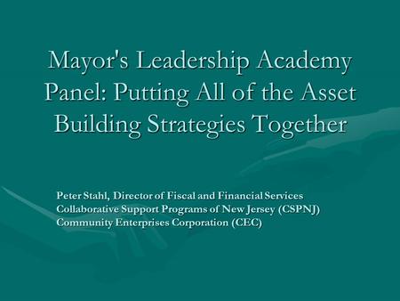 Mayor's Leadership Academy Panel: Putting All of the Asset Building Strategies Together Peter Stahl, Director of Fiscal and Financial Services Collaborative.