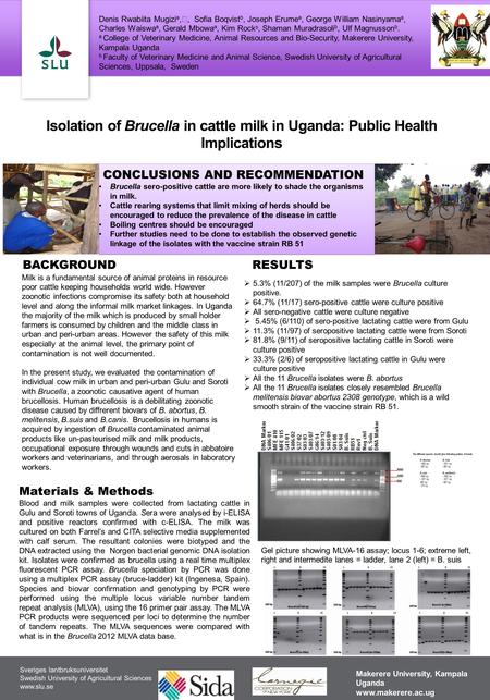 Sveriges lantbruksuniversitet Swedish University of Agricultural Sciences www.slu.se Milk is a fundamental source of animal proteins in resource poor cattle.