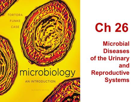 Ch 26 Microbial Diseases of the Urinary and Reproductive Systems.