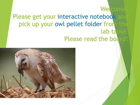 Welcome! Please get your interactive notebook and pick up your owl pellet folder from the lab table. Please read the board!