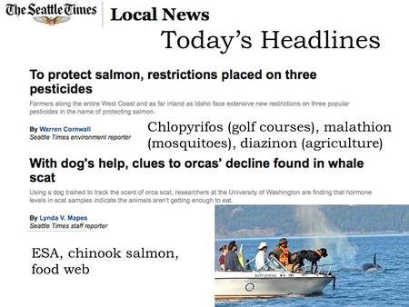 ESA, chinook salmon, food web Chlopyrifos (golf courses), malathion (mosquitoes), diazinon (agriculture) Today’s Headlines.