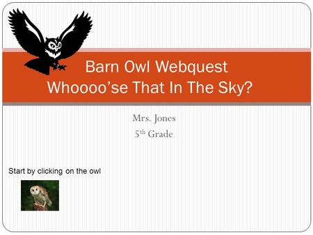 Barn Owl Webquest Whoooo’se That In The Sky?