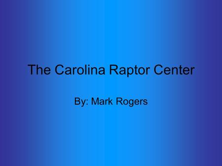 The Carolina Raptor Center By: Mark Rogers. What is a Raptor??? A raptor is a bird that has a sharp, curved beak, and sharp, curved talons and uses this.