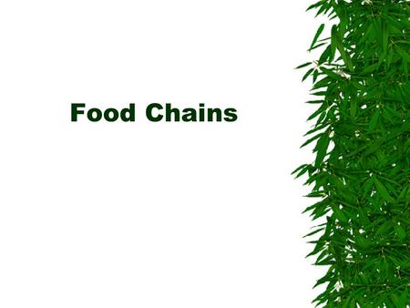 Food Chains.