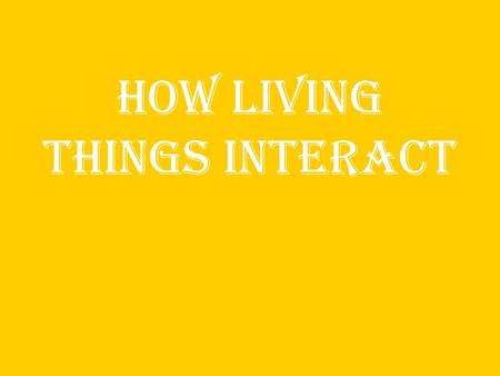 How Living things interact