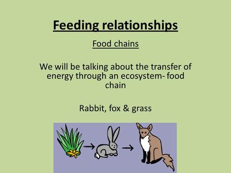 Feeding relationships