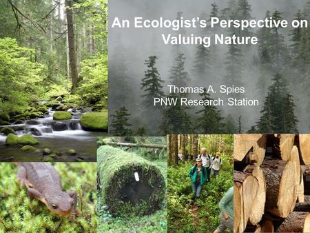 An Ecologist’s Perspective on Valuing Nature Thomas A. Spies PNW Research Station.