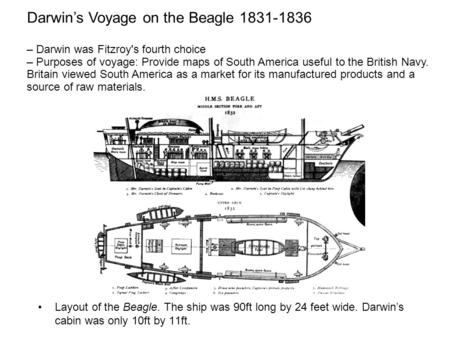 Layout of the Beagle. The ship was 90ft long by 24 feet wide. Darwin’s cabin was only 10ft by 11ft. Darwin’s Voyage on the Beagle 1831-1836 – Darwin was.