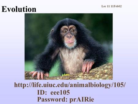 Evolution  ID: eee105 Password: prAIRie Lec 11 11Feb02.