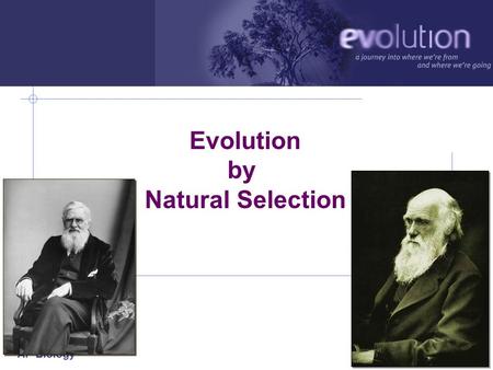 AP Biology 2006-2007 Evolution by Natural Selection.