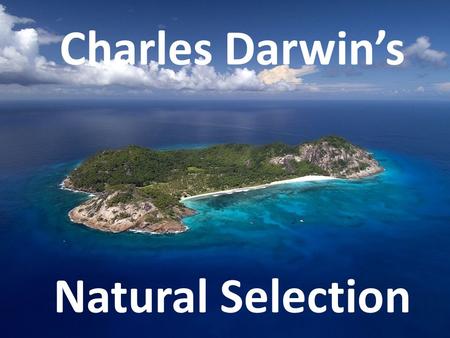 Natural Selection Charles Darwin’s. In 1831, Charles Darwin began a 5 year trip around the world aboard the H.M.S. Beagle. His goal was to observe and.