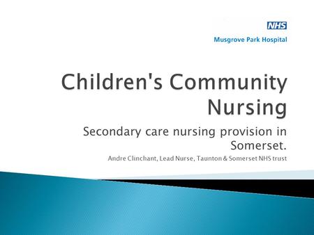 Secondary care nursing provision in Somerset. Andre Clinchant, Lead Nurse, Taunton & Somerset NHS trust.