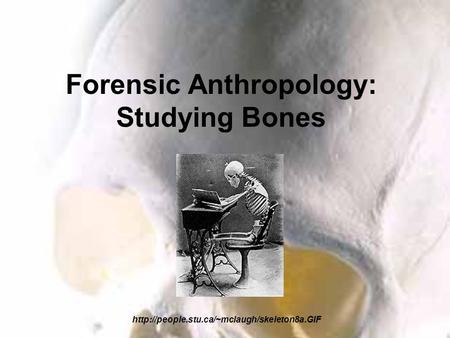 Forensic Anthropology: Studying Bones