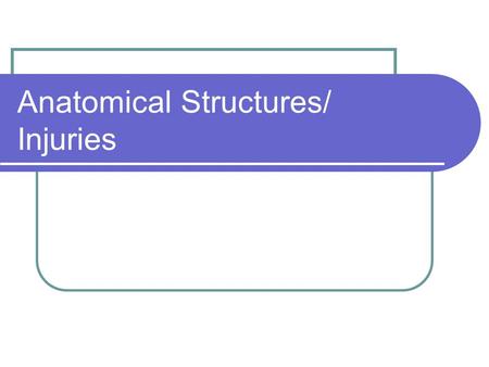 Anatomical Structures/ Injuries. Skin Bodies defense for dirt, bacteria, and germs. Epidermis- Outer most layer of skin Dermis- Thicker layer below the.