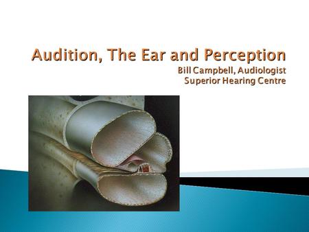 Audiologist. Masters Degree in Audiology or AuD Registered with CASLPO, Ontario College Assess hearing in any age. Prescribe hearing aids. Assess and.