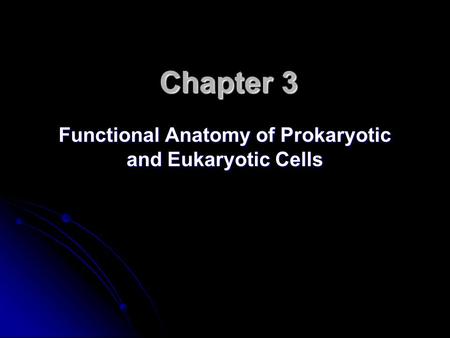 Chapter 3 Functional Anatomy of Prokaryotic and Eukaryotic Cells.