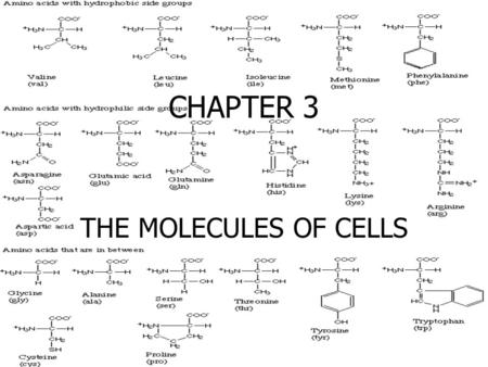 CHAPTER 3 THE MOLECULES OF CELLS. Carbon: The Organic Element Compounds that are synthesized by cells and contain carbon are organic So what is inorganic?