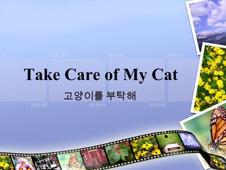 Take Care of My Cat 고양이를 부탁해. Details Released: 2001 Director: Jeong Jae-eun ( 정재은 ) This ‘coming of age’ movie follows the lives of a group of friends.