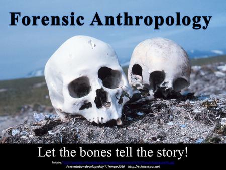 Forensic Anthropology