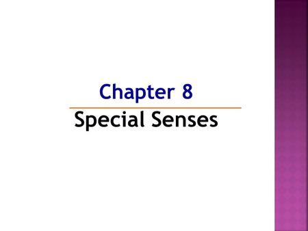 Chapter 8 Special Senses