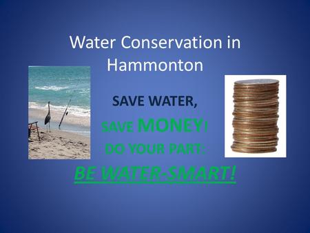 Water Conservation in Hammonton